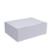 White Mailing Box 310 x 230 x 105mm A4 Die Cut-HorizonHub