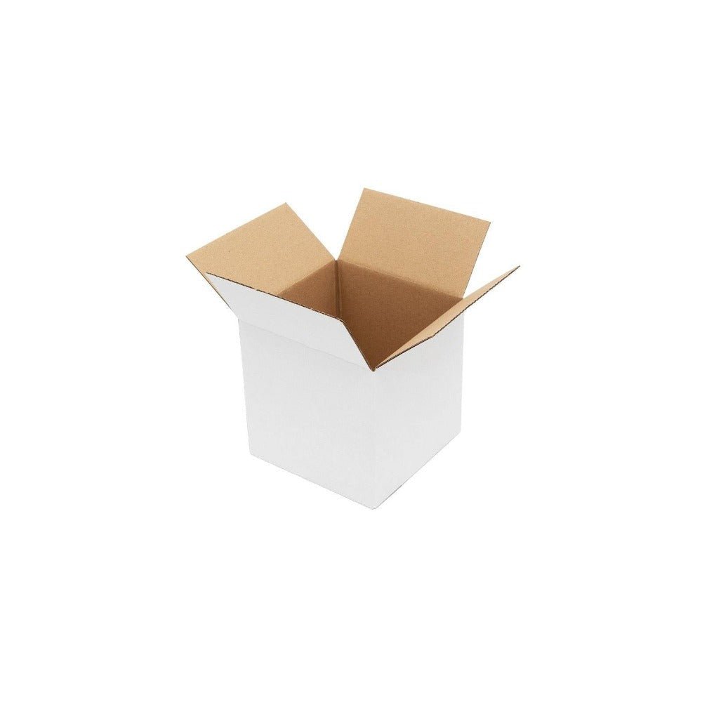 White Regular Mailing Box 120 x 120 x 120mm-HorizonHub